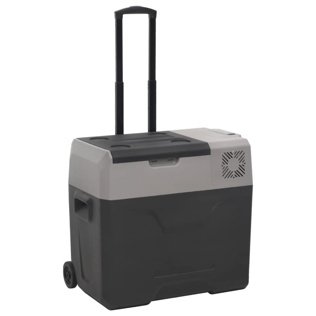 vidaXL Kühlbox mit Rollen und Adapter Schwarz & Grau 30 L Polypropylen