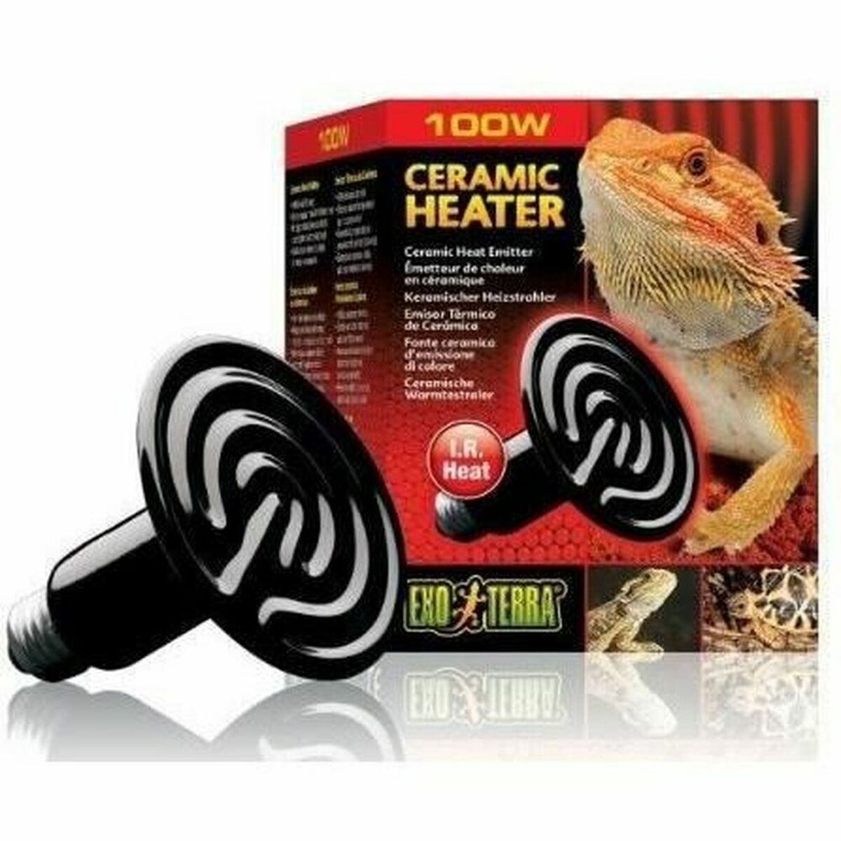 Reptilien und Amphibien