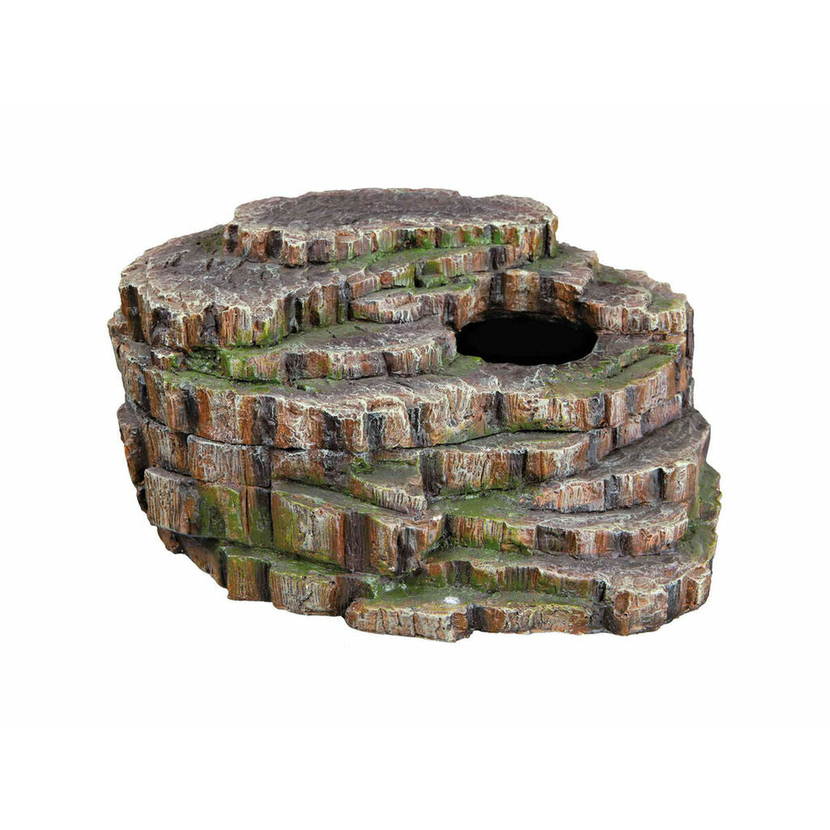 Einfache Terrarien-Bausätze