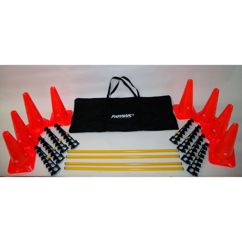 dog sports set