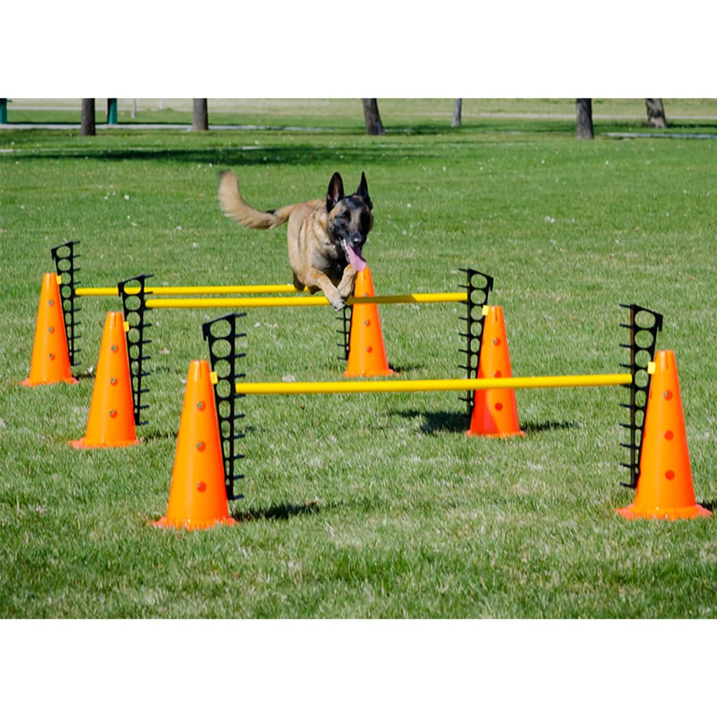 dog sports set