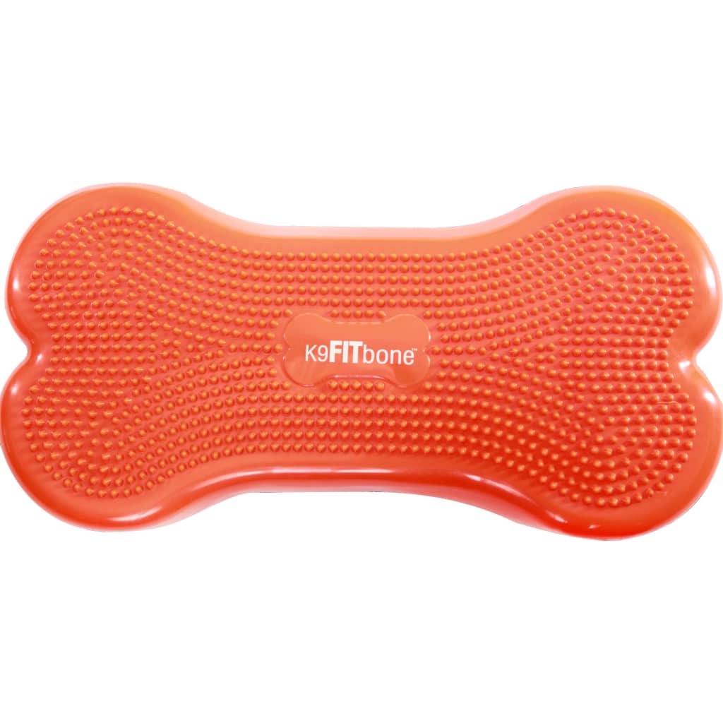 Balance Trainer for Pets K9FITbone 58x29x10 cm