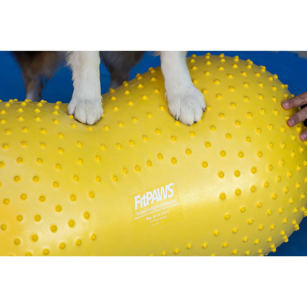 Balance Cushion for Dogs Trax Peanut 40 cm Yellow