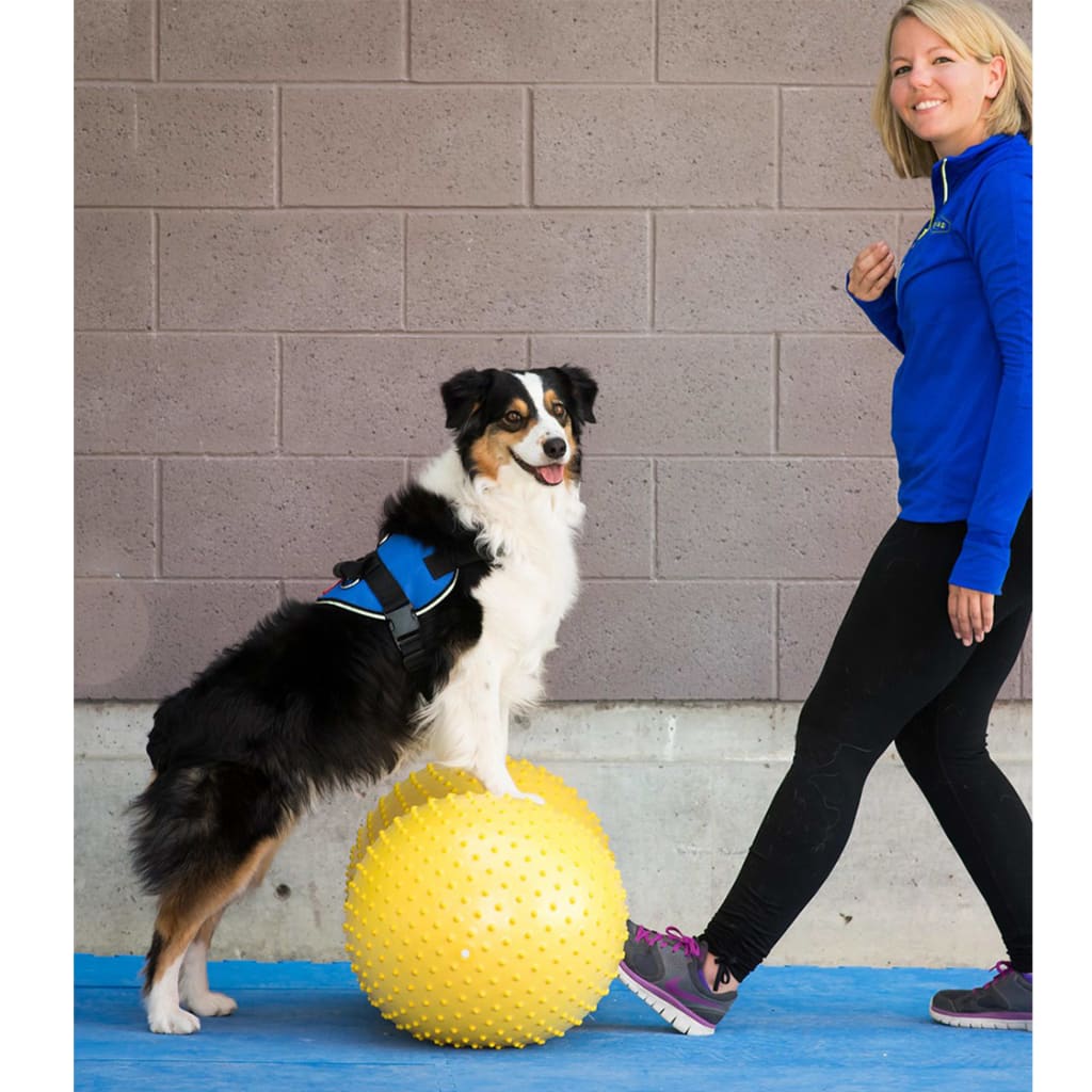 Balance Cushion for Dogs Trax Peanut 40 cm Yellow