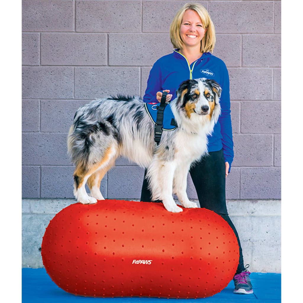 Balance Trainer for Pets Trax Peanut 50 cm Red