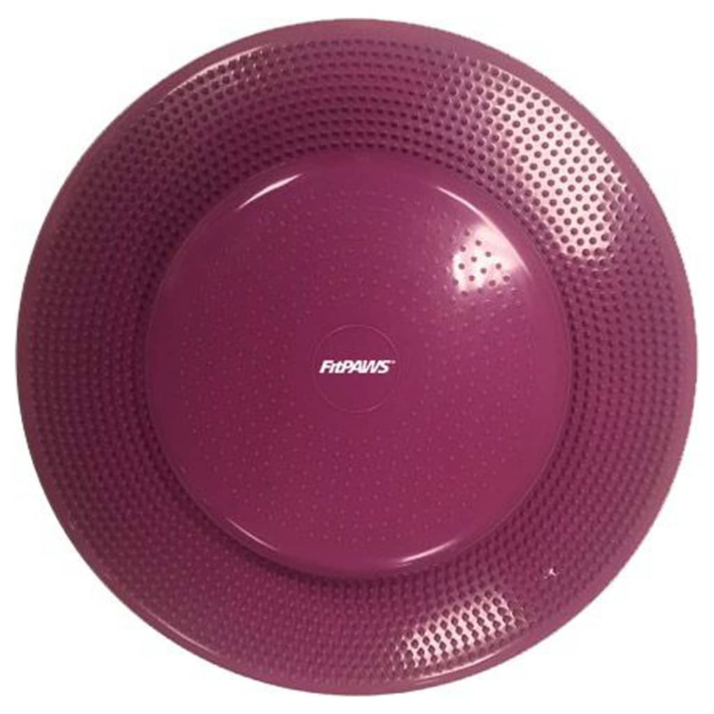 Balance Disc for Pets 56 cm Razzleberry