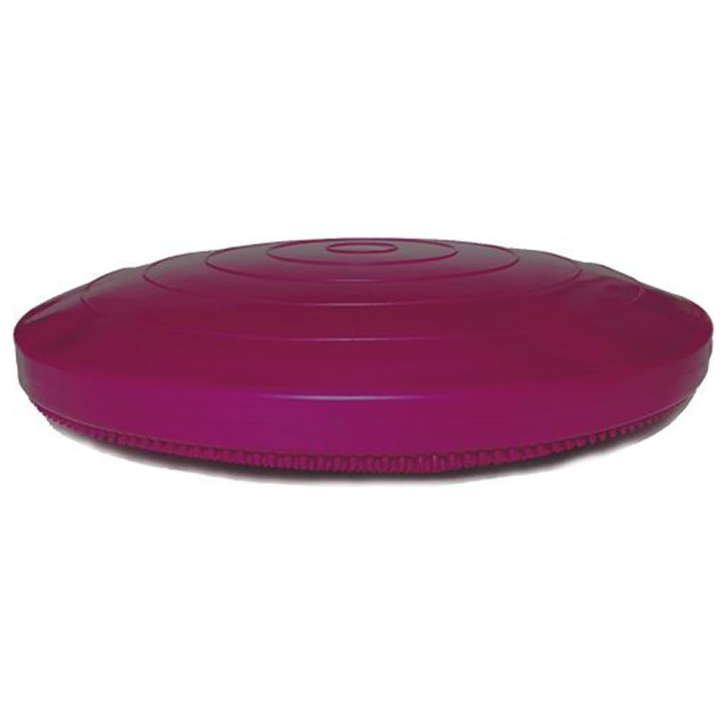 Balance-Scheibe für Haustiere 56 cm Razzleberry