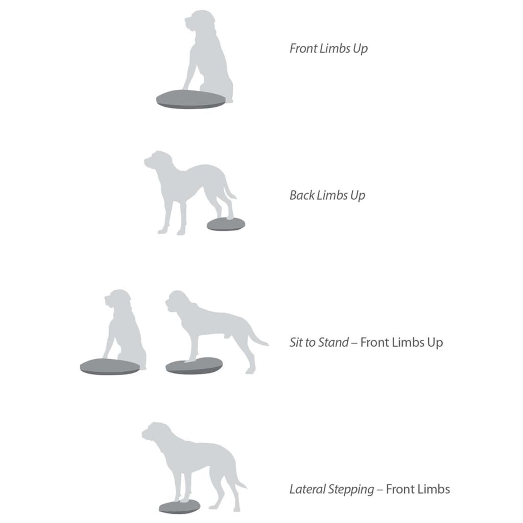 Balance Disc for Pets 56 cm Razzleberry