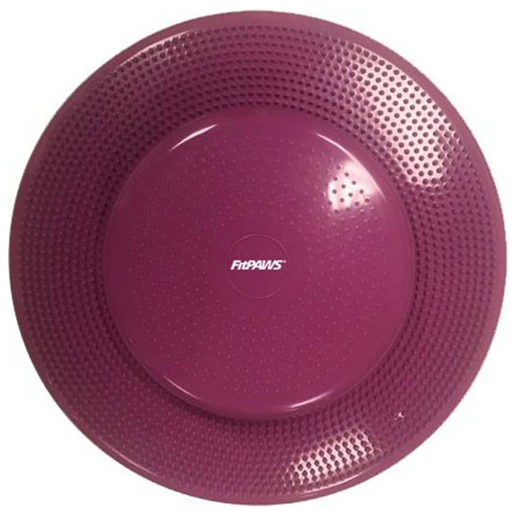 Balance Disc for Pets 36 cm Razzleberry