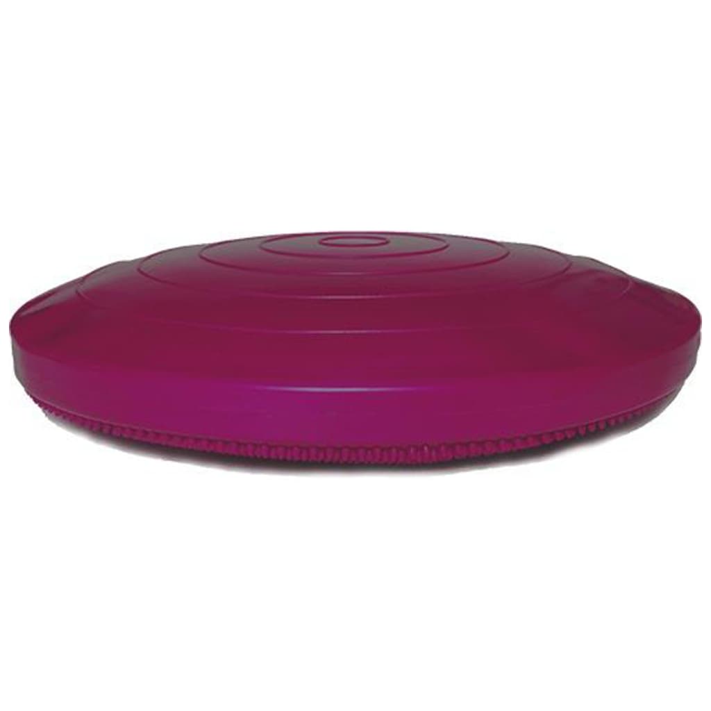 Balance-Scheibe für Haustiere 36 cm Razzleberry