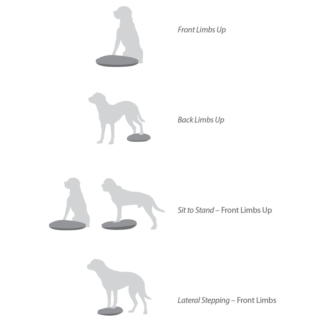 Balance Disc for Pets 36 cm Razzleberry