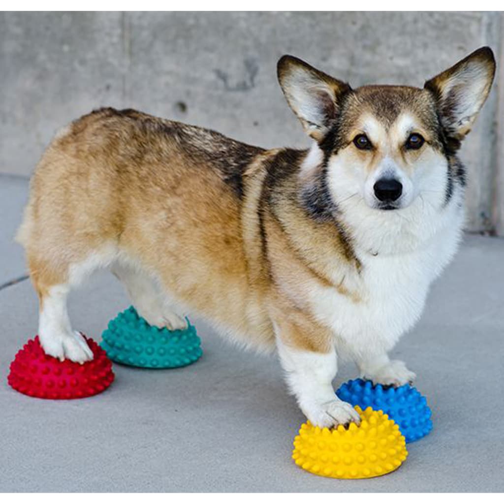 Balance Balls for Paws 4 pcs.