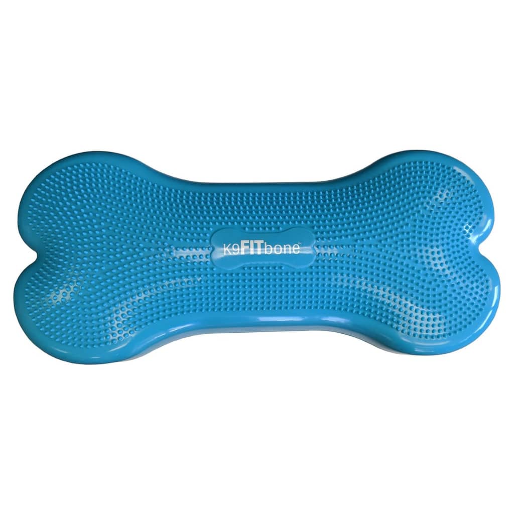 Pet Balance Trainer Giant K9FITbone PVC Aqua