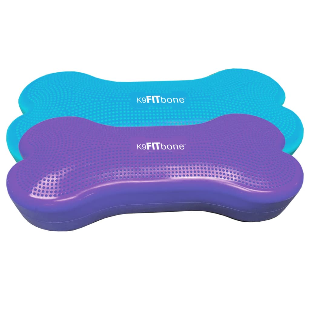 Pet Balance Trainer Giant K9FITbone PVC Aqua