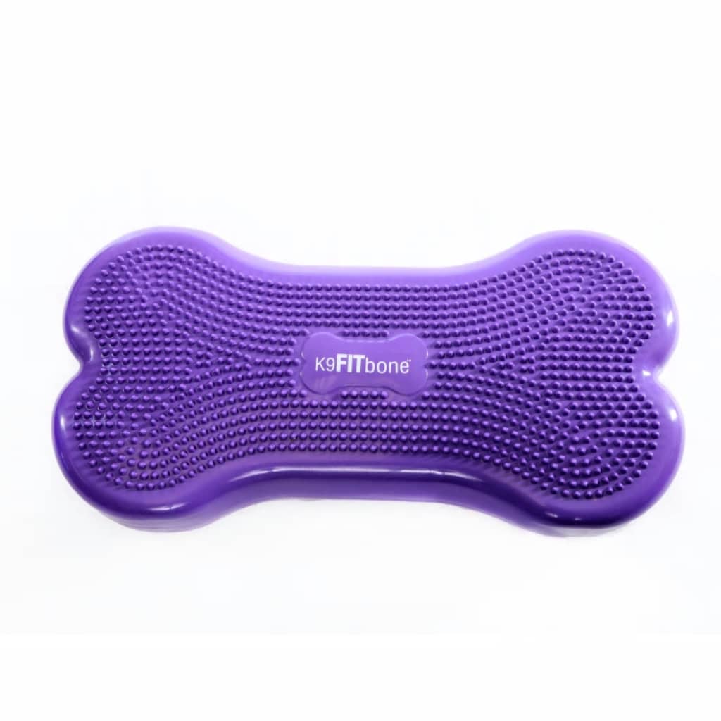 Pet Balancing Disc Giant K9FITbone PVC Purple