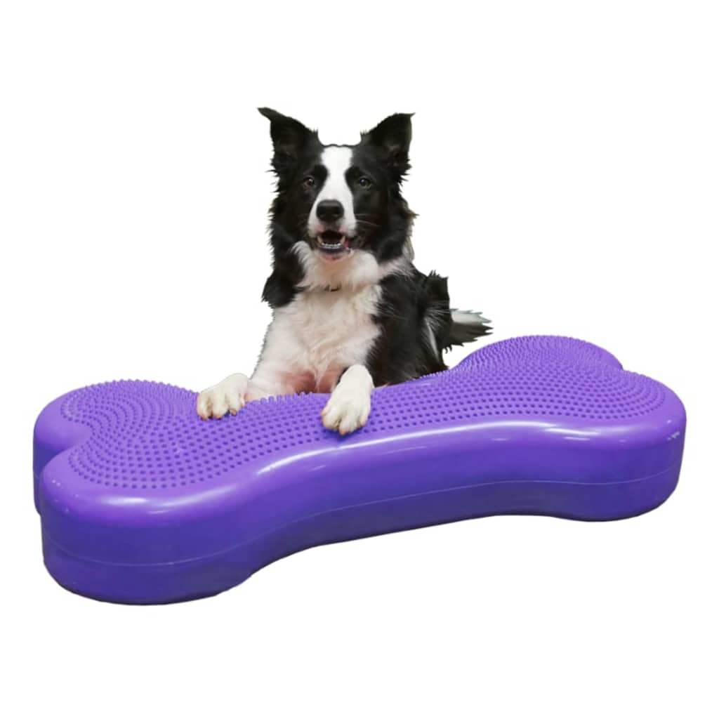 Pet Balancing Disc Giant K9FITbone PVC Purple