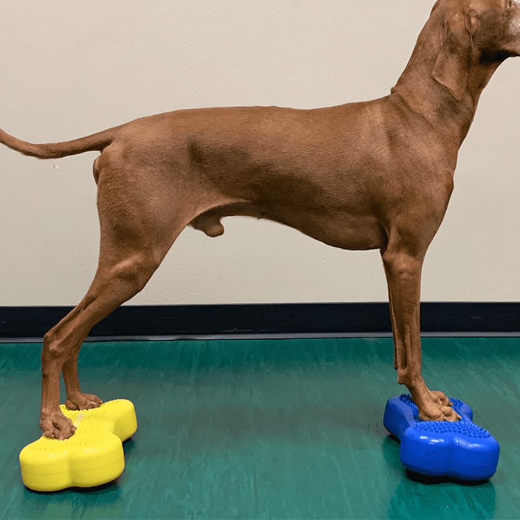 Balance Cushion for Pets Mini K9FITbone 2 pcs. 29x16.5x6 cm Blue