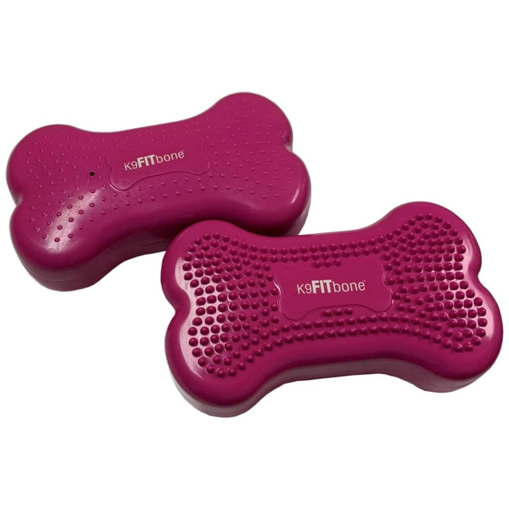 Balance Trainer Mini K9FITbone 2 pcs. 29x16.5x6 cm