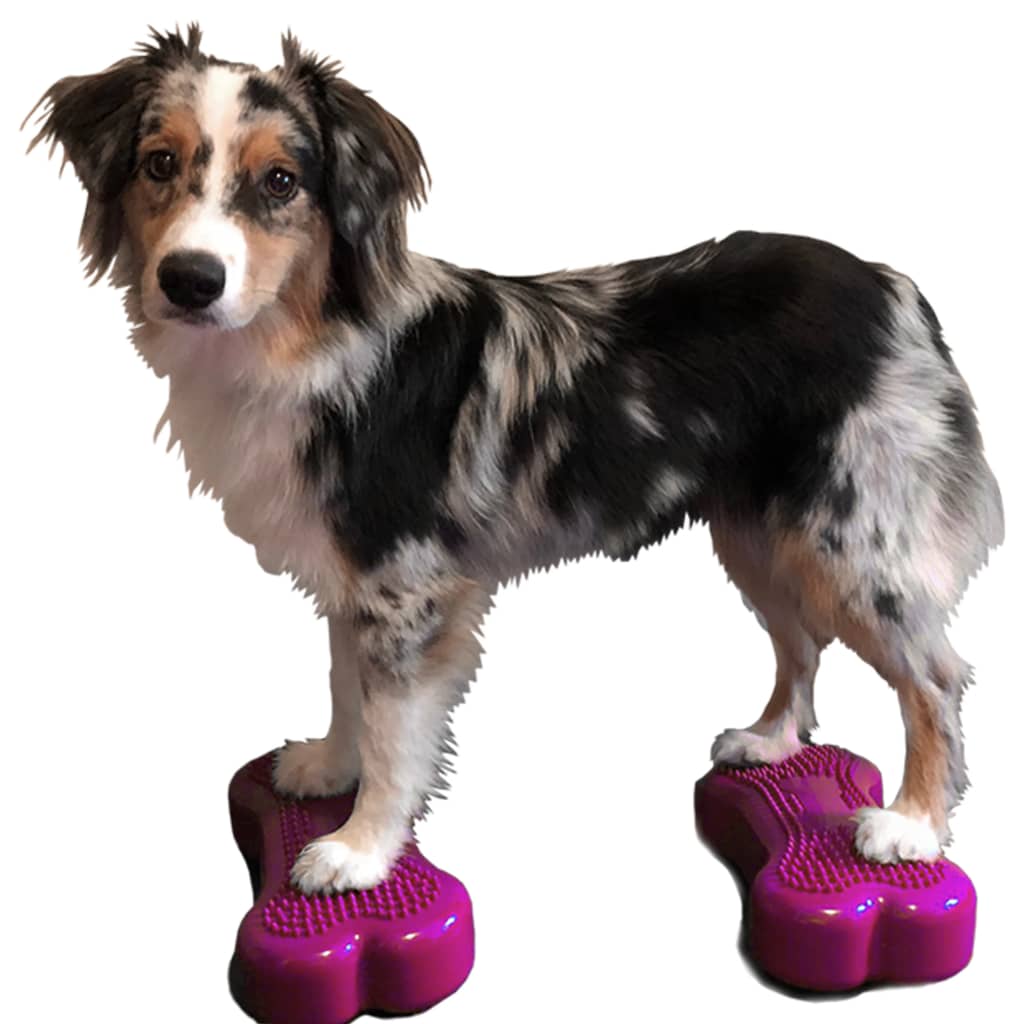 Balance Trainer Mini K9FITbone 2 pcs. 29x16.5x6 cm