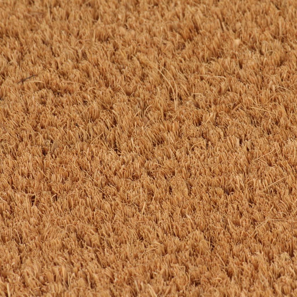 vidaXL Natürliche Fußmatten 2 Stk. Coir 24 mm 40x60 cm