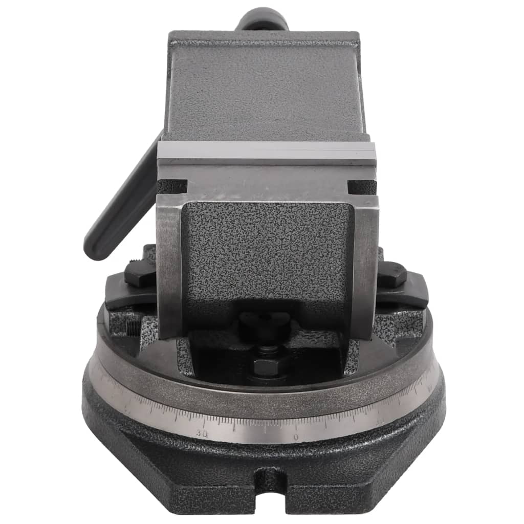 vidaXL 2-Achsen-Schraubstock Kippbar 100 mm