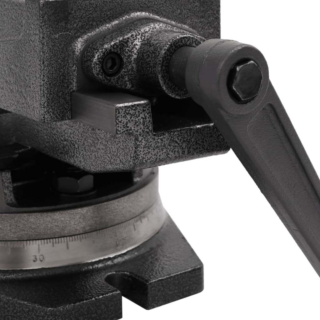 vidaXL 2-Achsen-Schraubstock Kippbar 100 mm