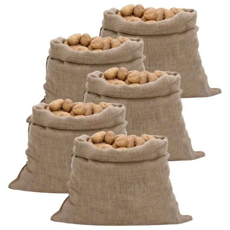 vidaXL Jutesäcke 5 Stück 60 x 105 cm 100 % Jute 220 g/m²