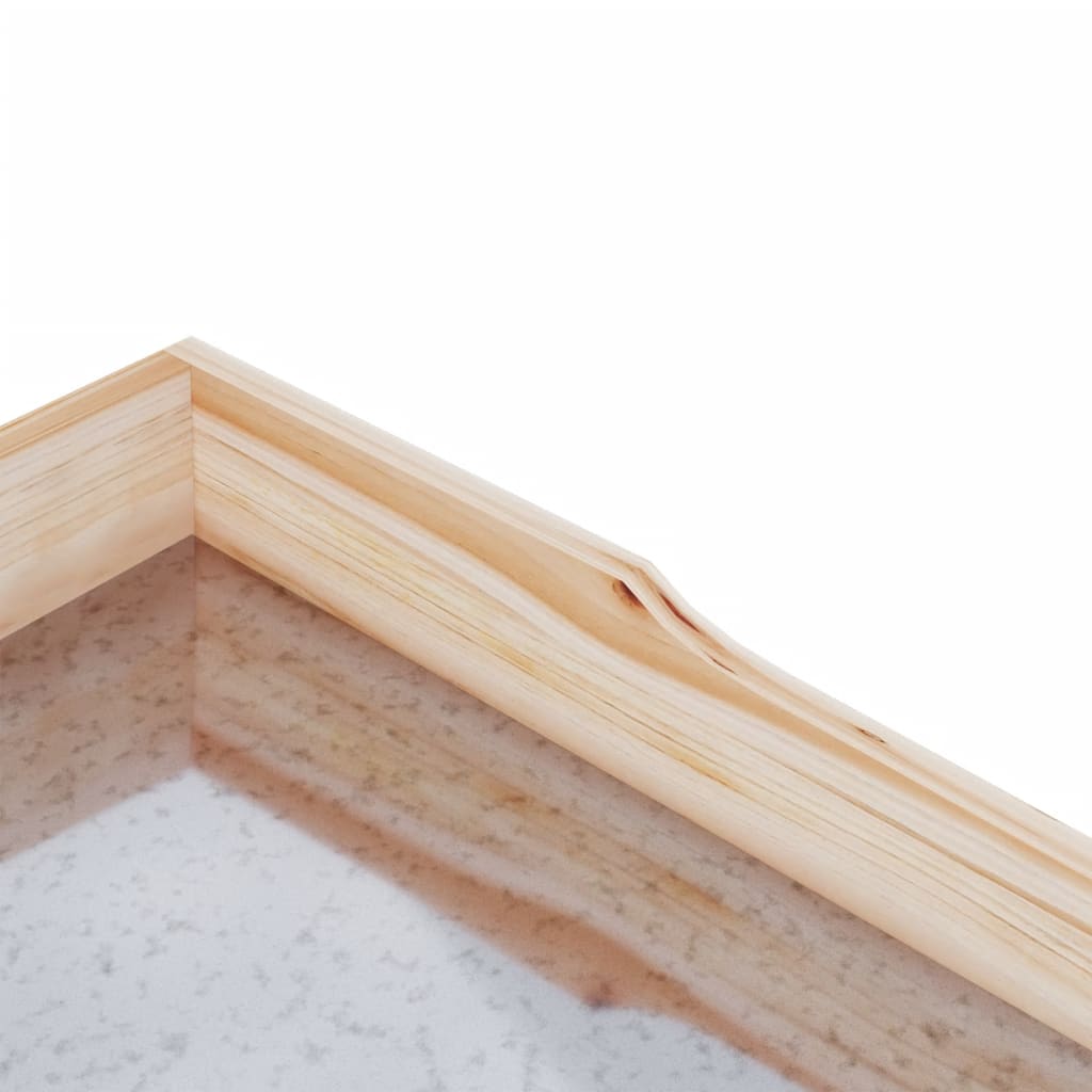 vidaXL Pflanztisch mit Ablagen 78x38x82,5 cm Massivholz Tanne