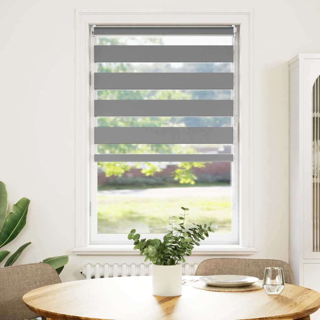 vidaXL Doppelrollo Seitenzug Duo 40 x 100 cm