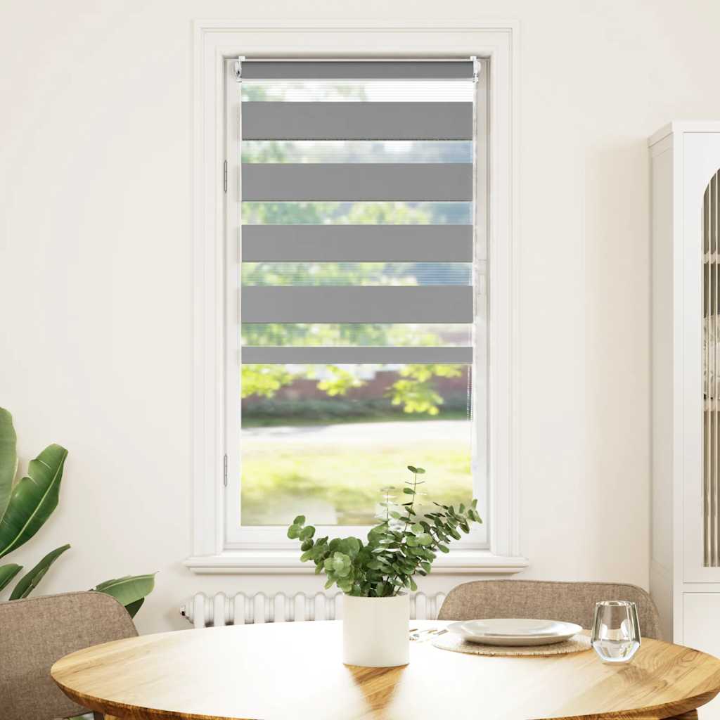 vidaXL Doppelrollo Seitenzug Duo 40 x 100 cm