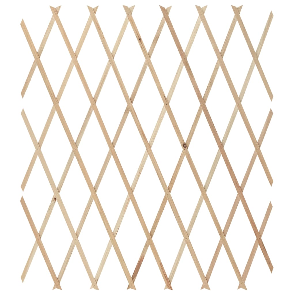 vidaXL Rankzäune 5 Stk. Massivholz Tanne 180x80 cm