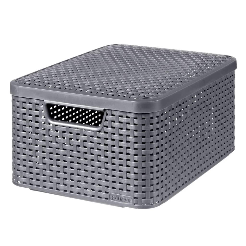 Storage Box with Lid Style M 18L Metallic Silver