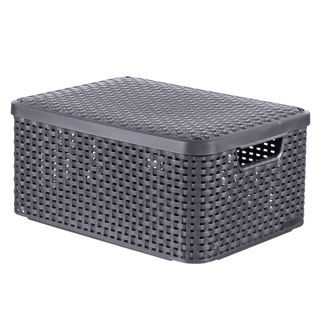 Storage Box with Lid Style M 18L Metallic Silver