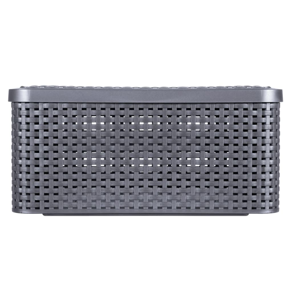 Storage Box with Lid Style M 18L Metallic Silver