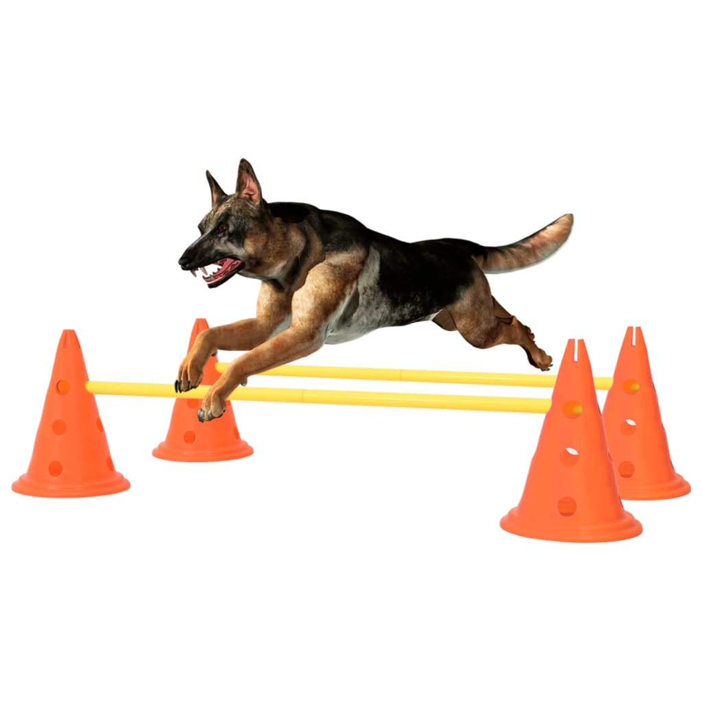 Agility Hundetraining Hindernis-Set Orange und Gelb