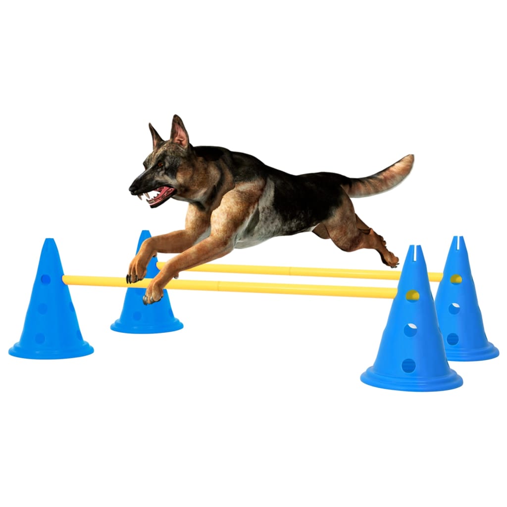 Agility Hundetraining Hindernis-Set Blau und Gelb